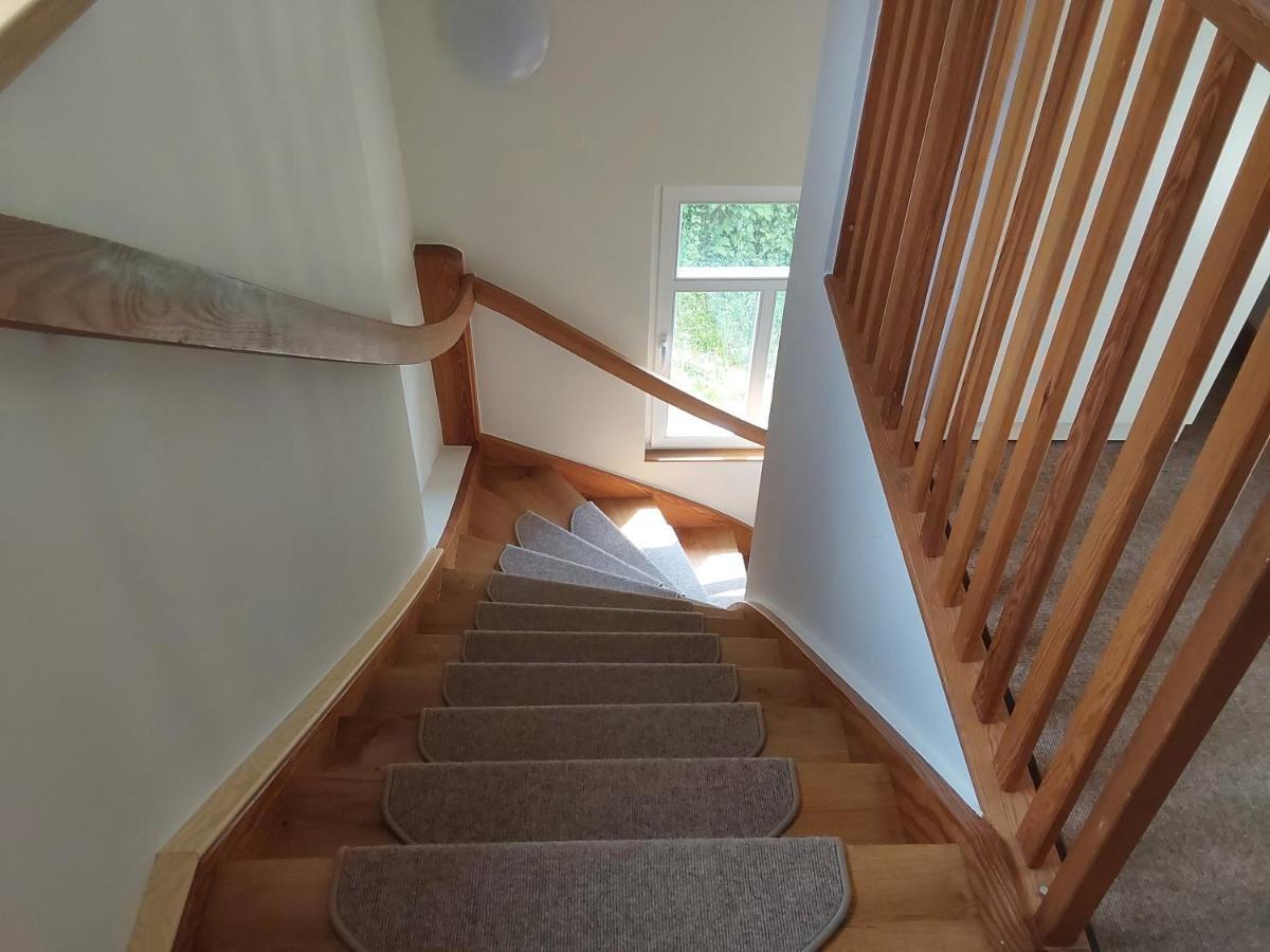 Bed And Breakfast Wehlen Stadt Wehlen Bagian luar foto